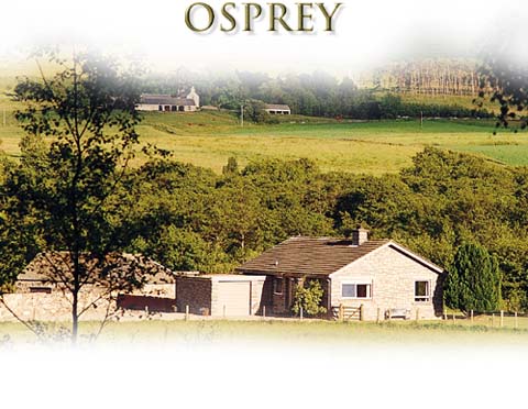 Osprey bungalow
