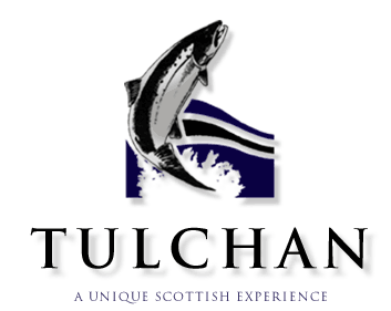 Tulchan logo of leaping Salmon